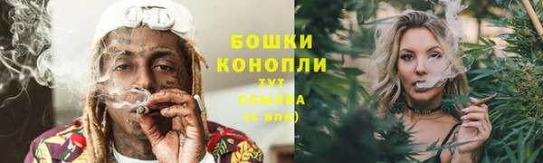 ешки Шадринск