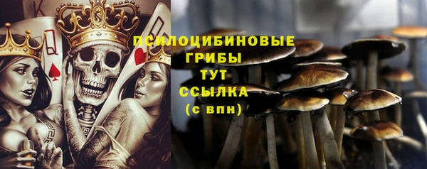 прущие крисы Шали