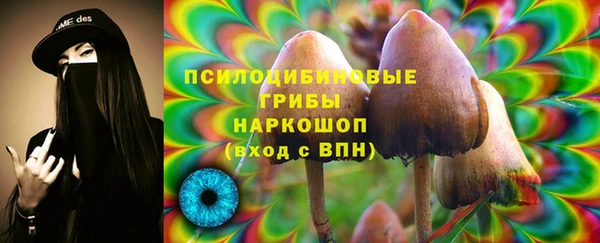 твердый Покровск