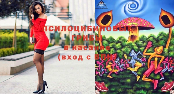 стафф Покачи