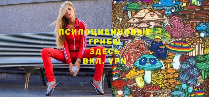 Псилоцибиновые грибы MAGIC MUSHROOMS  Азов 