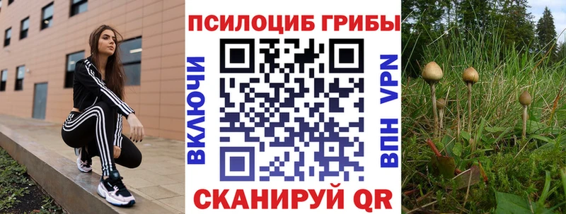 Галлюциногенные грибы Psilocybine cubensis  Азов 