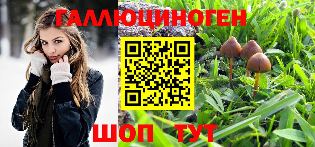 Галлюциногенные грибы ЛСД  Вход с VPN  Азов 